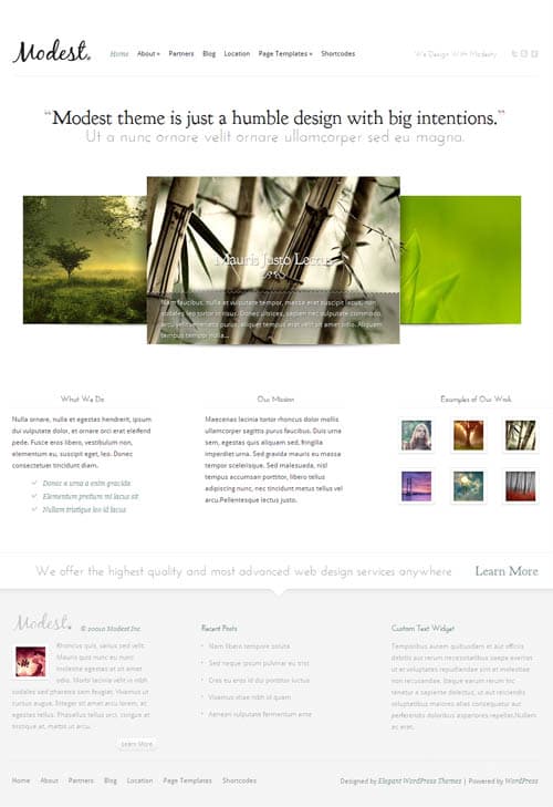 modest-premium-wordpress-theme