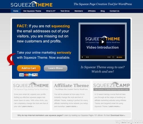 squeeze theme