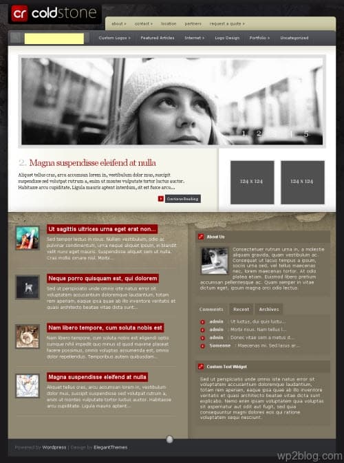 cold stone wordpress theme