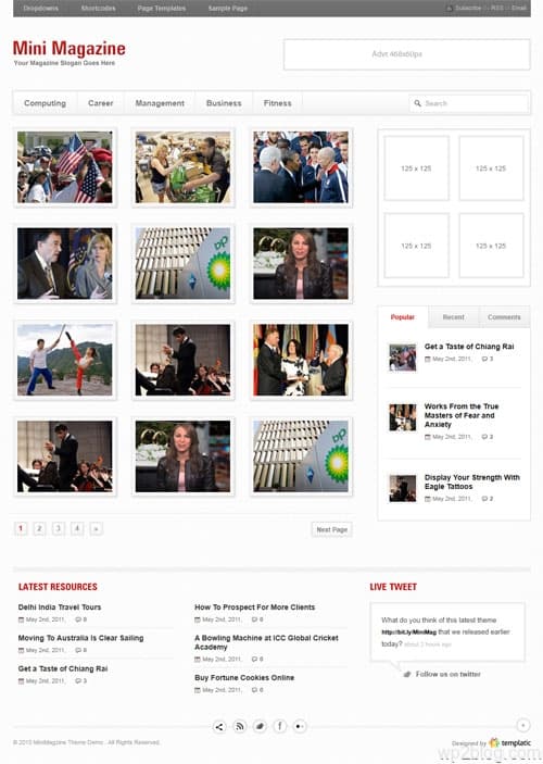 Mini Magazine Premium WordPress Theme