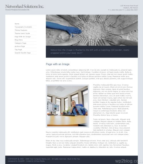 Networked Solutions premium wordpress theme