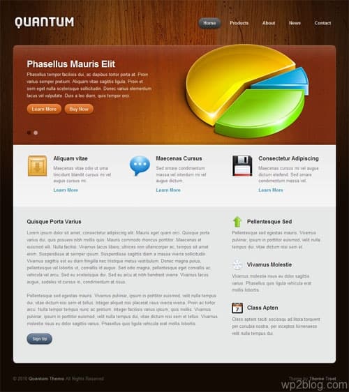 quantum wordpress theme