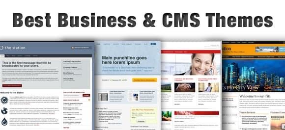 best business wordpress themes