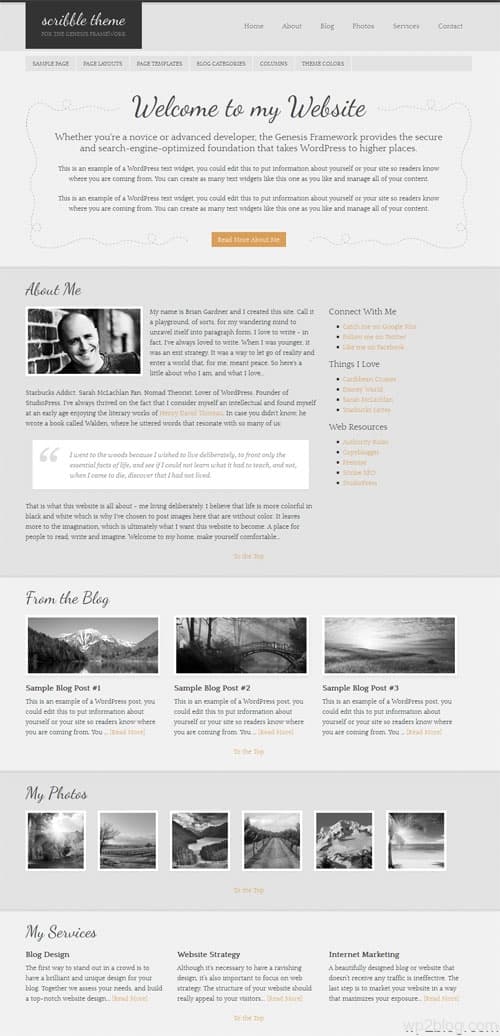 Scribble Premium WordPress Theme