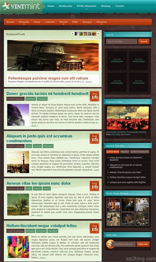 wintmint wordpress theme