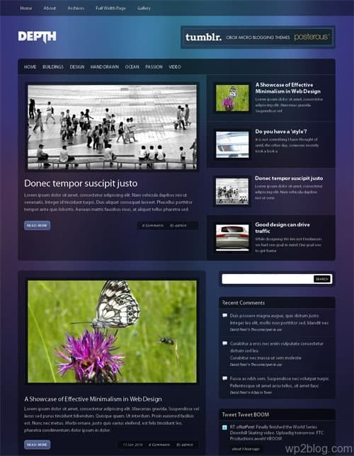 depth wordpress theme