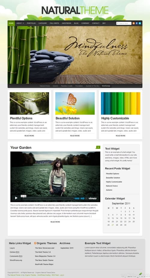 Natural Premium WordPress Theme