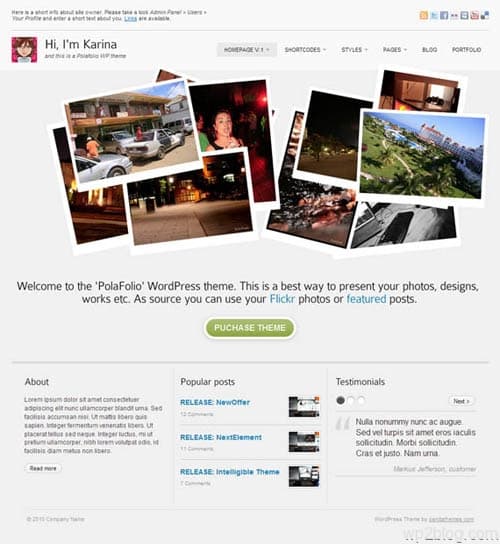 polafolio wordpress theme