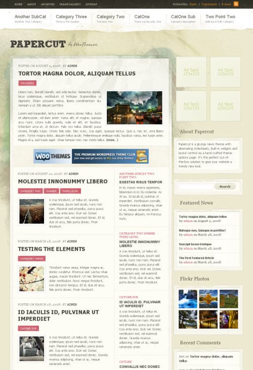 Papercut wordpress theme