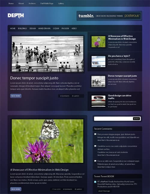 depth-wordpress-theme