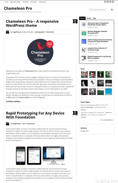 Chameleon Pro WordPress Theme