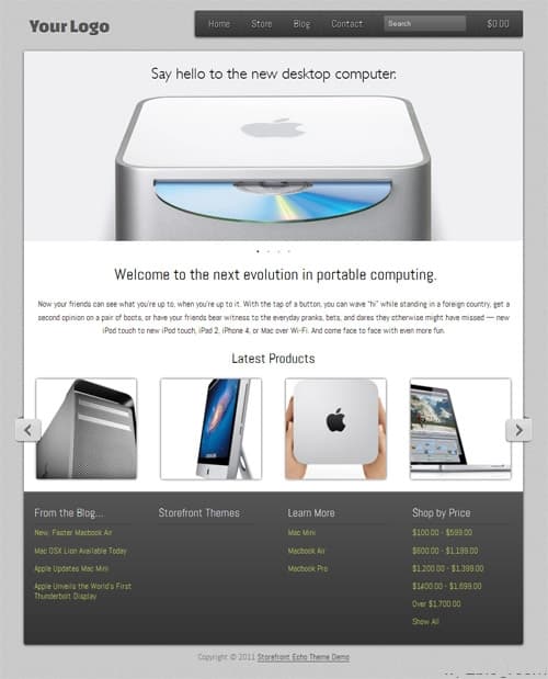 Storefront Echo WordPress Theme