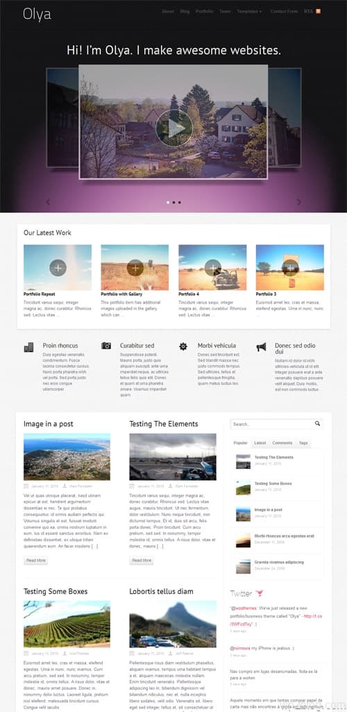 Olya Business Portfolio WordPress Theme