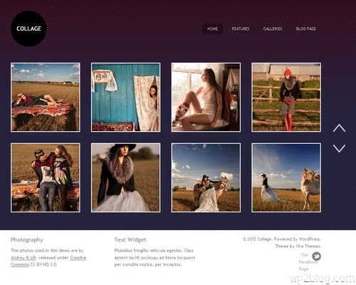 Collage WordPress Theme