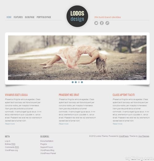 Lodos WordPress Theme