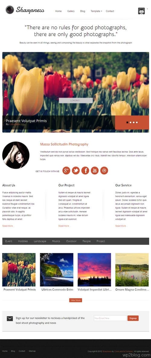 Sharpness WordPress Theme