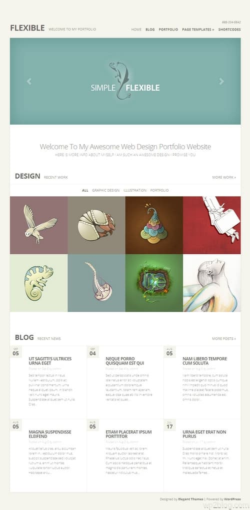 Flexible WordPress Theme