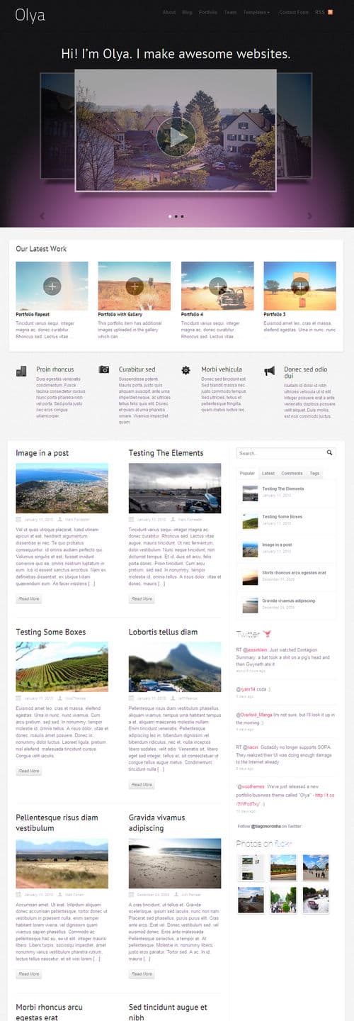 olya wordpress theme