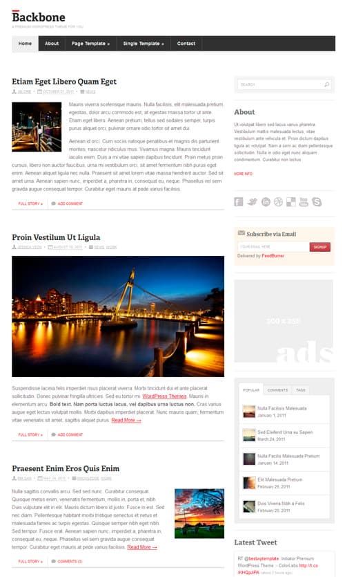 backbone wordpress theme