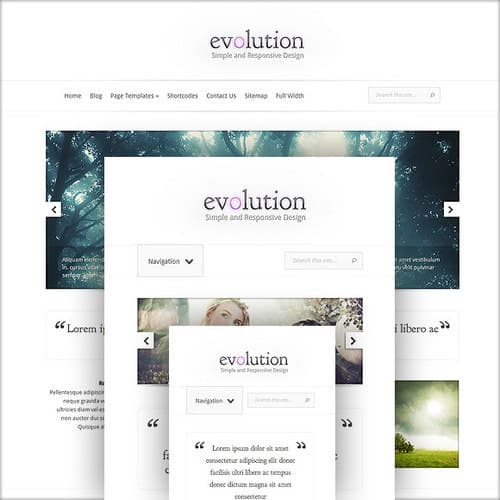 Evolution Responsive Layout