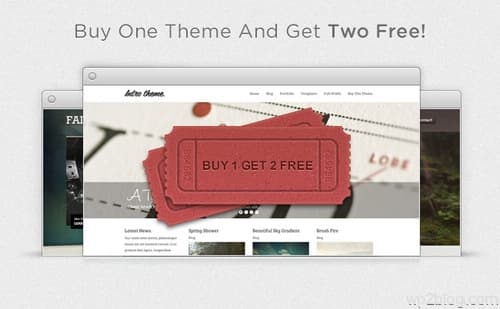 Mint Themes Promotion 2012 Aug