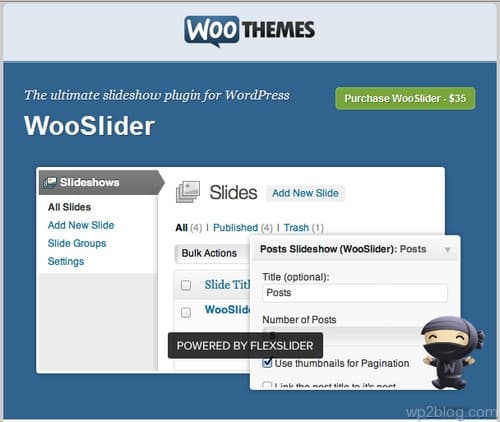 WooSlider Plugin