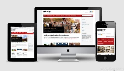 Erudito Theme Responsive