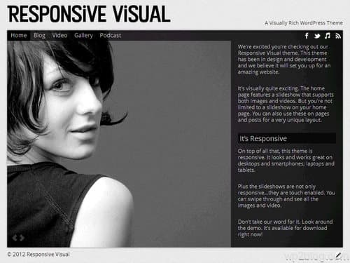 Responsive Visual WordPress Theme