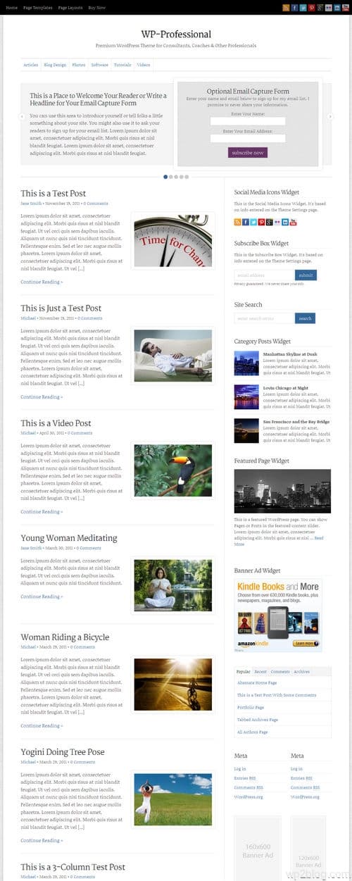 WP-Professional WordPress Theme