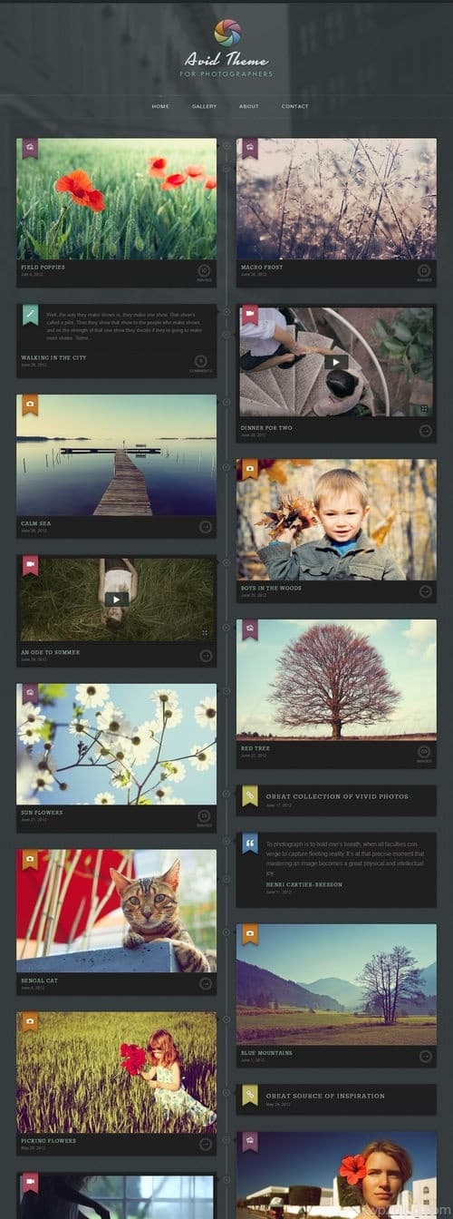 Avid WordPress Theme