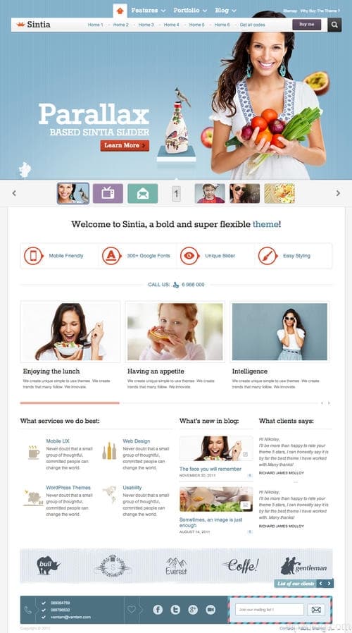 Sintia WordPress Theme