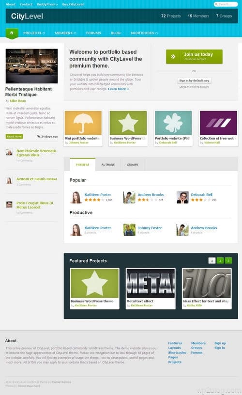 Citylevel WordPress Theme