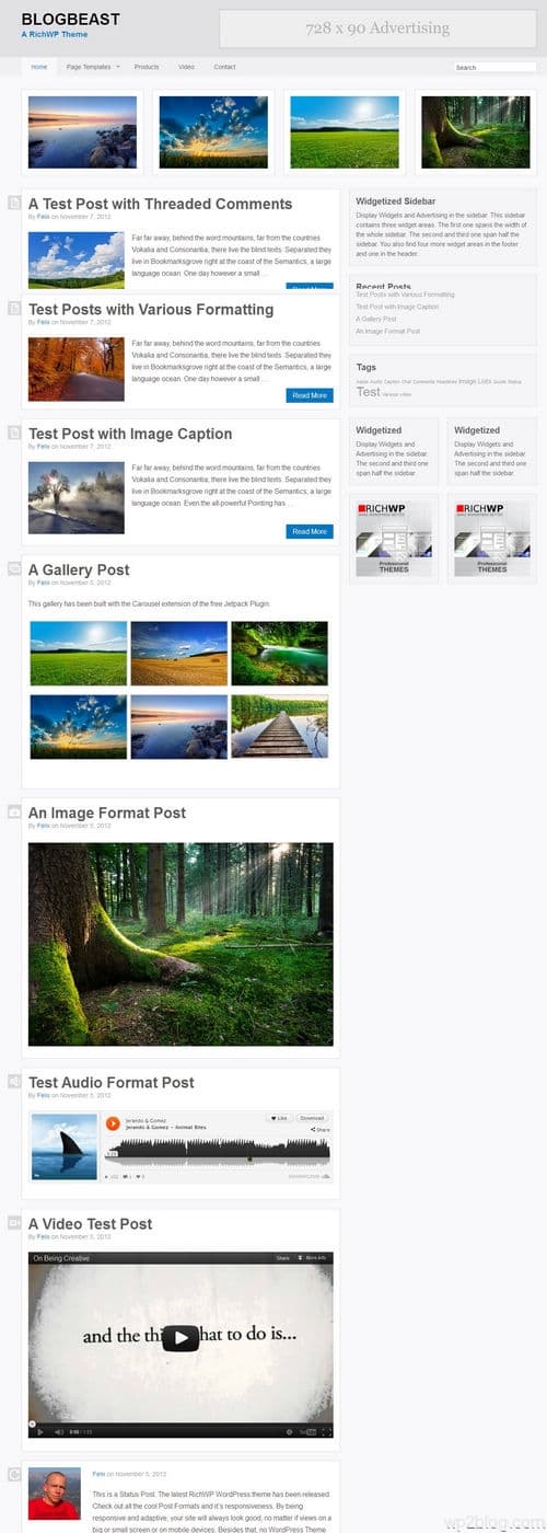 Blogbeast WordPress Theme