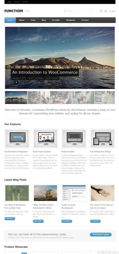 Function Responsive WordPress Theme