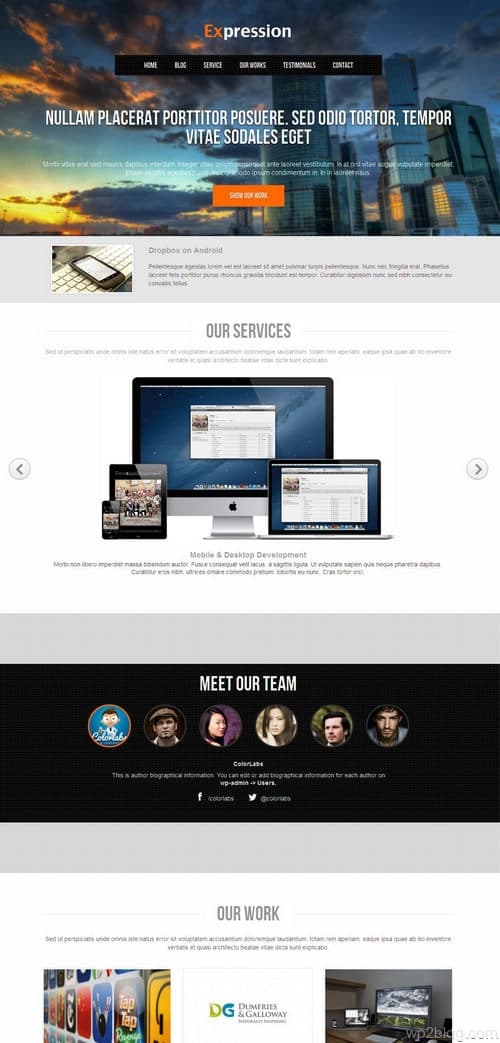 Expression WordPress Theme