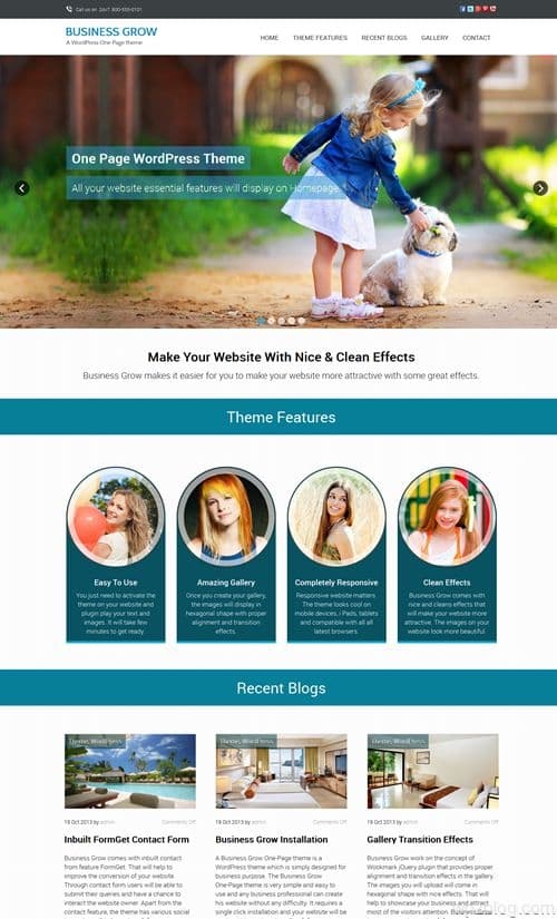 Business Grow WordPress Theme