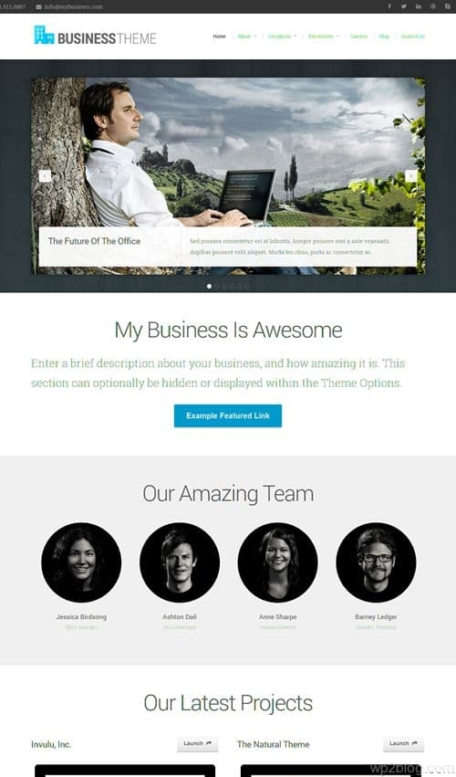 Business Theme V2.0