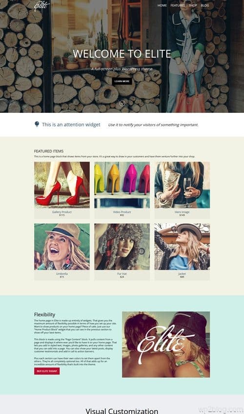 Elite WordPress Theme