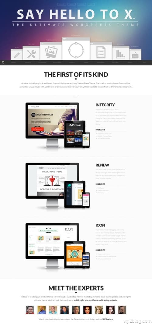 X WordPress Theme