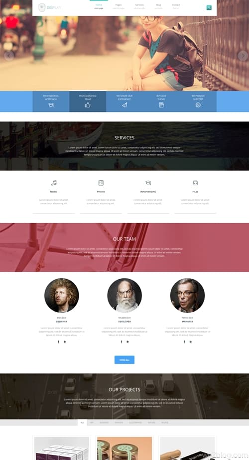 Display WordPress Theme