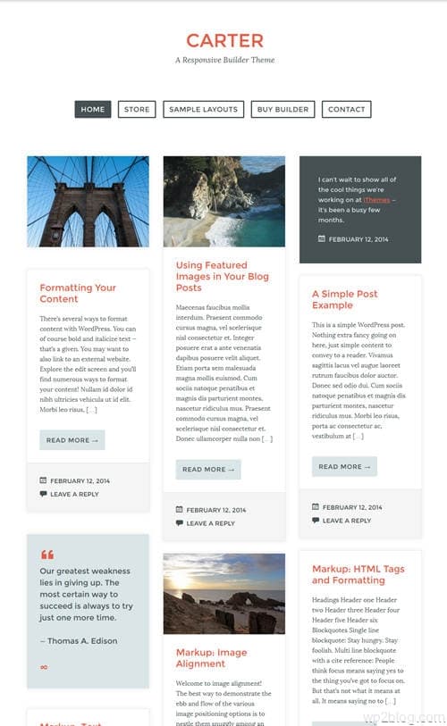 Carter WordPress Theme