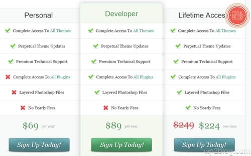 elegant themes lifetime license discount