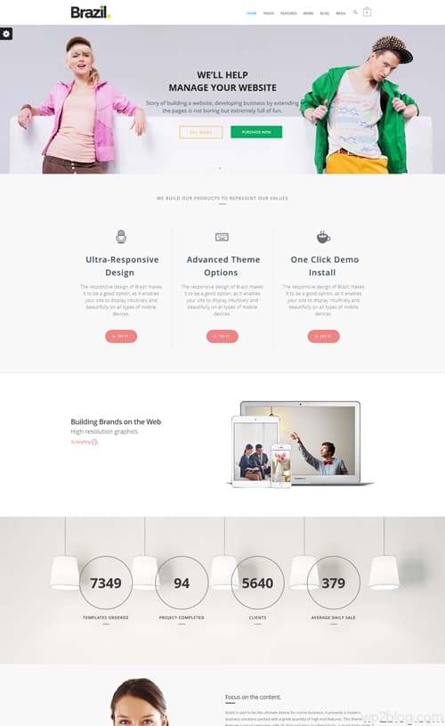 Brazil WordPress Theme