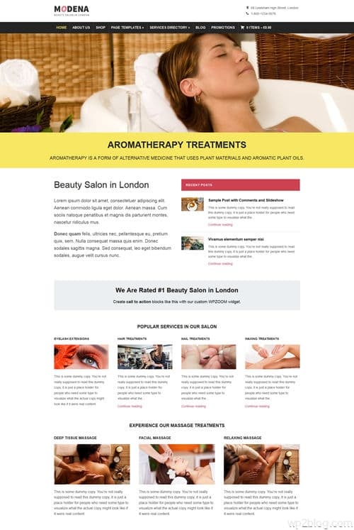 Modena WordPress Theme