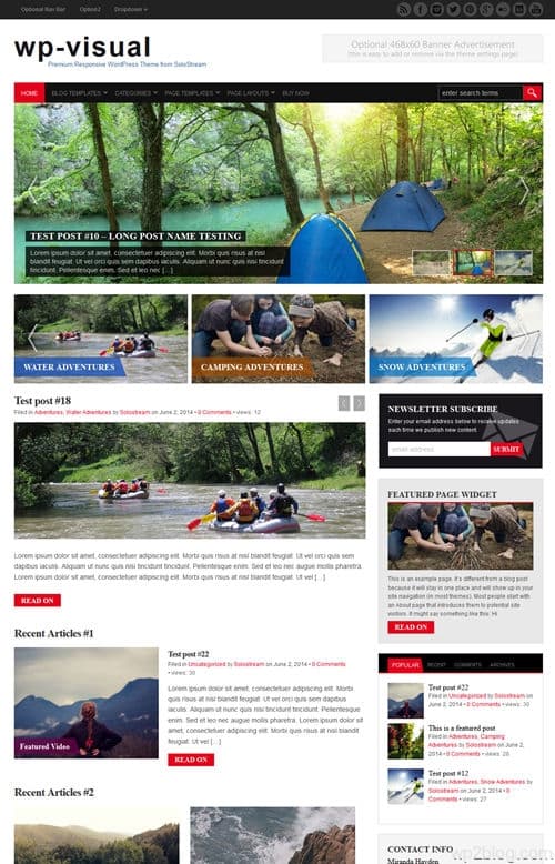 WP-visual WordPress Theme