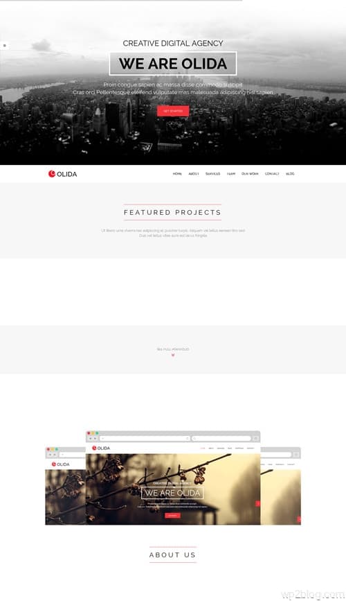 Olida WordPress Theme