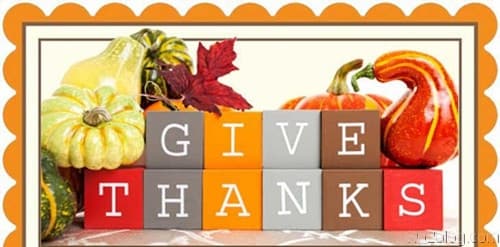Thanksgiving Promotion