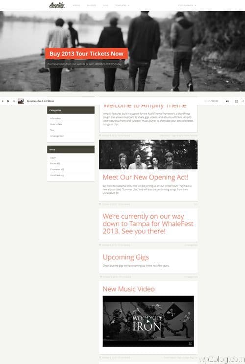 Amplify WordPress Theme