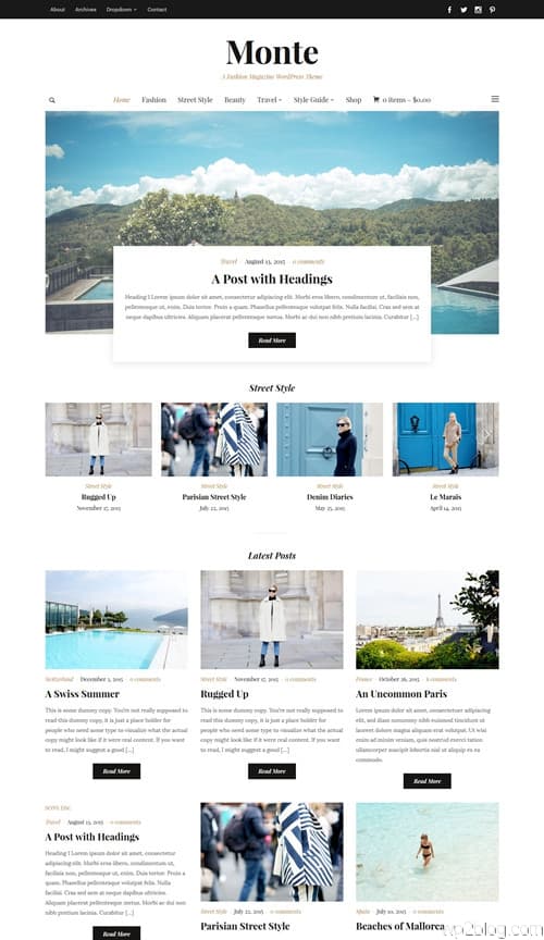 Monte WordPress Theme