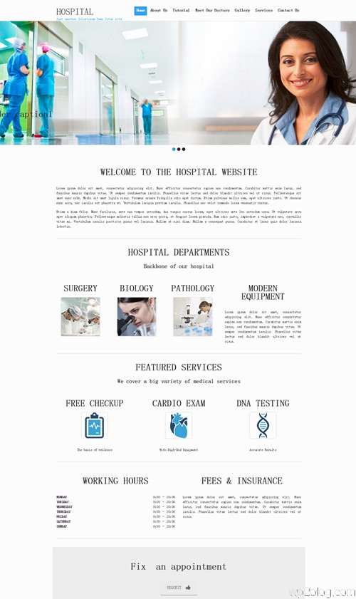 Hospital WordPress Theme